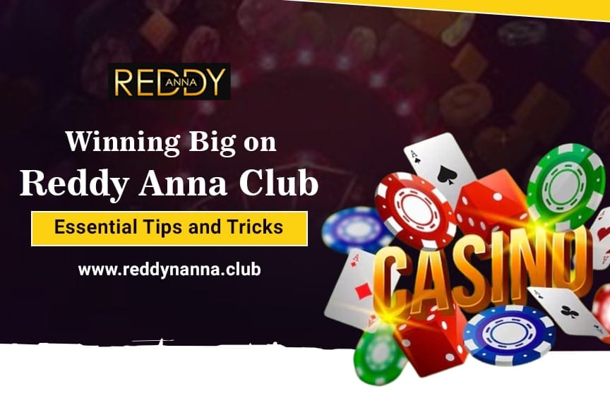 You are currently viewing Winning Big on Reddy Anna Club: Essential Tips and Tricks